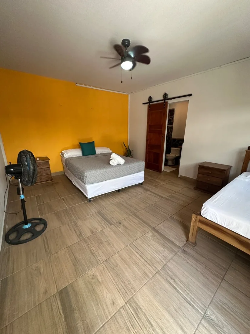 Room Three — sunlit yellow accent wall