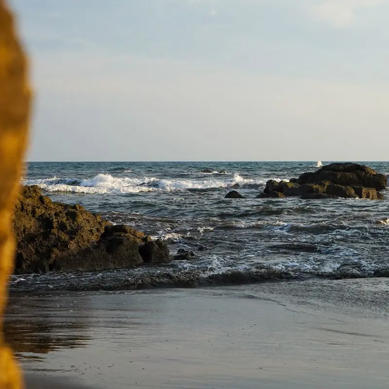 The surf out front